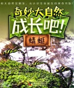 成长吧！蜻蜓 封面