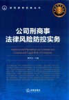 公司刑商事法律风险防控实务 封面