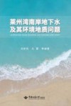 莱州湾南岸地下水及其环境地质问题 封面
