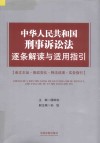 中华人民共和国刑事诉讼法逐条解读与适用指引 电子书封面