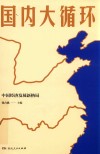 国内大循环 封面