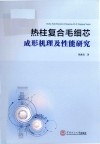 热柱复合毛细芯成形机理及性能研究 封面