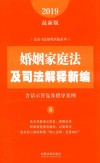 婚姻家庭法及司法解释新编：含请示答复及指导案例  8  2019最新版 封面