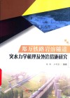 郑万铁路岩溶隧道突水力学机理及处治措施研究 封面