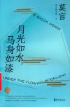 月光如水，马身如漆 封面