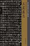 王震墓志  唐代稀见墓志书法精选 封面