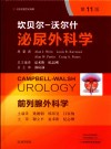 坎贝尔-沃尔什泌尿外科学 第4卷 封面