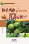 核桃病虫害诊断与防控原色图谱 封面