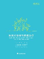 系统式咨询与家庭治疗 封面