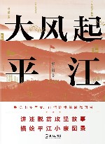 大风起平江 封面