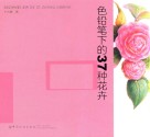 色铅笔下的37种花卉 封面