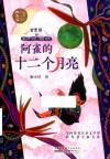 小橘灯儿童文学原创馆  阿雀的十二个月亮 封面