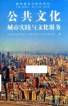 公共文化  城市实践与文化服务 封面
