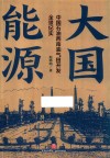 大国能源  中国石油西南油气田开发全景纪实 封面
