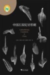 中国石炭纪牙形刺 封面