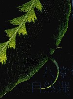 八堂自然课  大自然教给我们的生存之道 封面