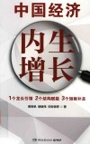中国经济  内生增长 封面