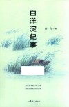 白洋淀纪事 封面