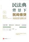 民法典背景下民间借贷纠纷处理与案例分析 封面