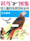 识鸟图鉴，给儿童的鸟类百科全书  长空鹰隼 封面