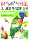 识鸟图鉴，给儿童的鸟类百科全书  森林与远洋鸟 封面