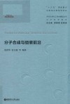 分子合成与组装前沿