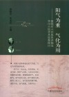 阳气为重  气化为用  雒晓东六经体系讲稿及李可六经学术思想探讨 封面