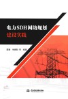 电力SDH网络规划建设实践 封面