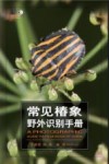 常见椿象野外识别手册 封面