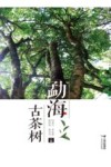勐海古茶树 封面