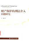 财产保护的刑法介入问题研究 封面