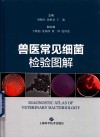 兽医常见细菌检验图解 封面