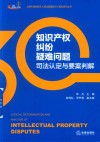 知识产权纠纷疑难问题司法认定与要案判解 封面