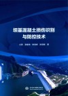 坝基混凝土损伤识别与防控技术 封面