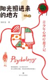 阳光照进来的地方  青少年心理疗愈手记 封面