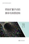 钙钛矿量子点的掺杂与异质结构 封面