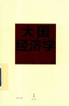 大国经济学  面向长期全局多维的中国发展 封面