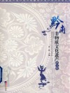 黔南非物质文化遗产图文集 封面