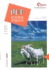 现代养殖业实用技术系列  助力乡村振兴出版计划  肉羊优质高效养殖技术 封面