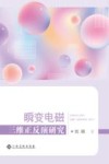瞬变电磁三维正反演研究 封面