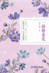 一路格桑花 封面