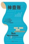 神查账 封面