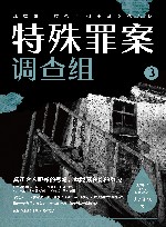 特殊罪案调查组 3 封面
