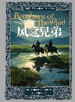 风之兄弟 封面