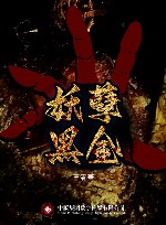 妖孽黑金 封面