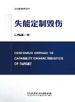 失能定制毁伤 封面