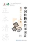 中国植物药清源图鉴  药材和饮片卷  下 封面