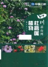 四川凉山州杜鹃属植物 封面