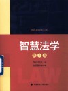 智慧法学  第1卷 封面