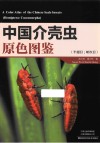 中国介壳虫原色图鉴  半翅目  蚧次目 封面